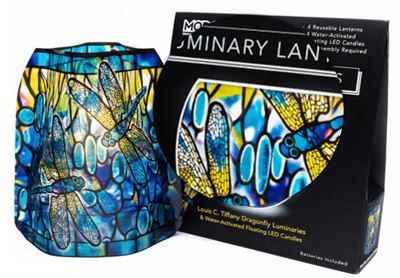 Modgy Dragonfly Luminaries - 4 pack